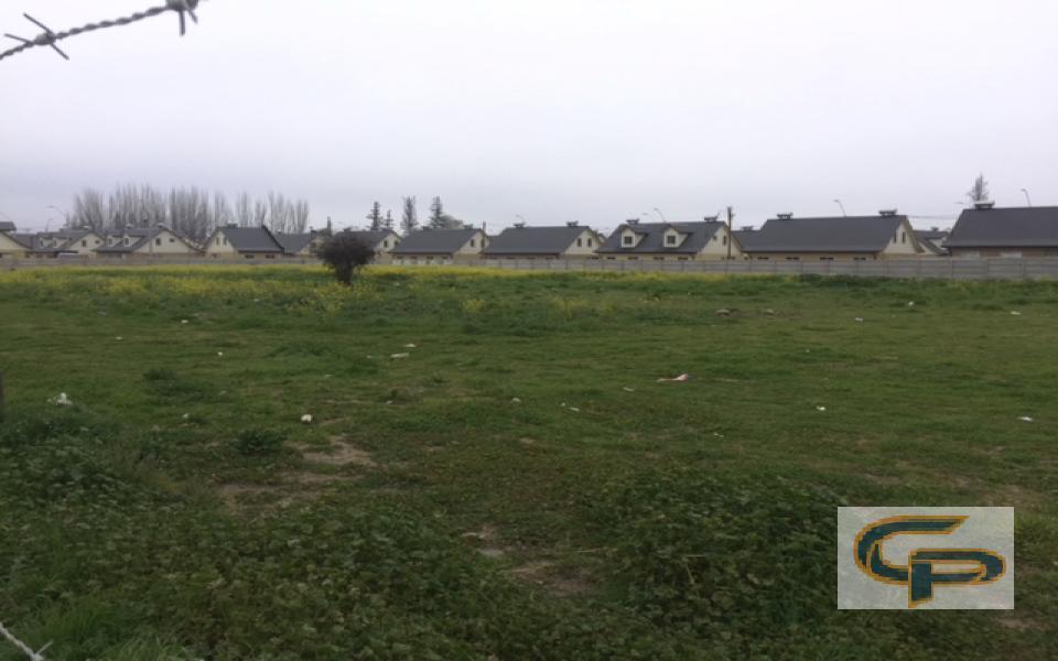 Molina - Los Aromos — foto 4