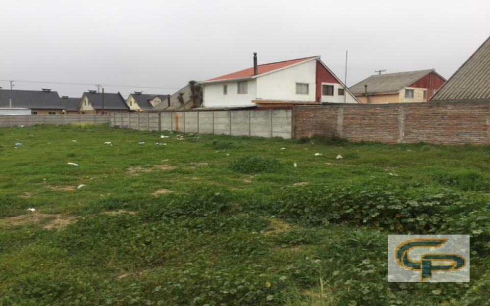 Molina - Los Aromos — foto 5